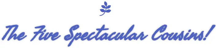 Meet The Five Spectacular Cousins!