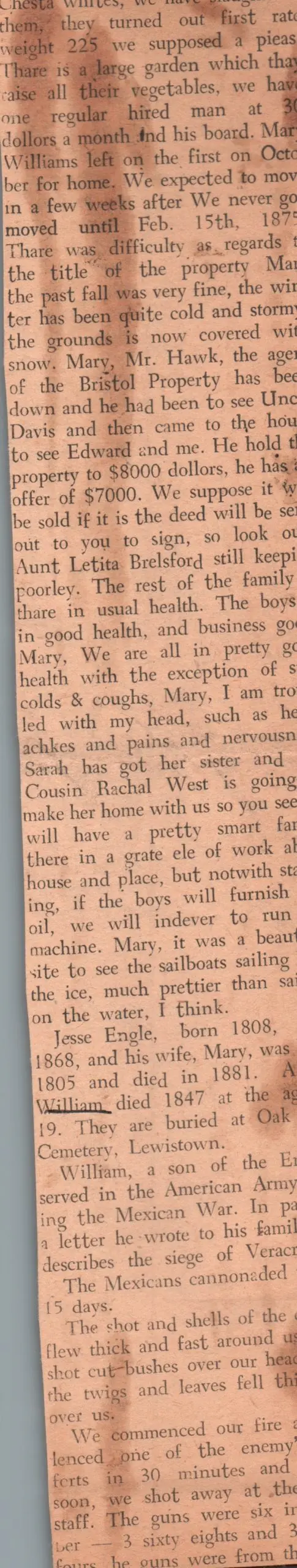Engle Genealogy - Alice Wise 1800 Federal Census Notes Pg1