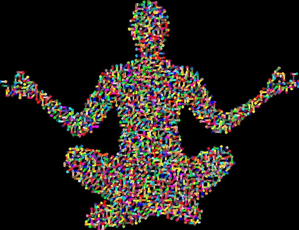 Engle Genealogy - Chromosome Mapping