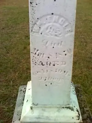 Engle Genealogy - William Engle