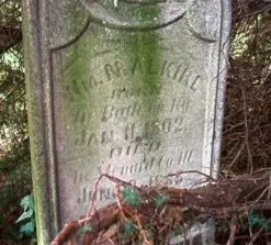 Engle Genealogy - William Nave Alkire